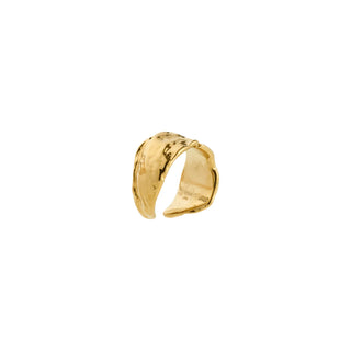 Ear cuff - Instant