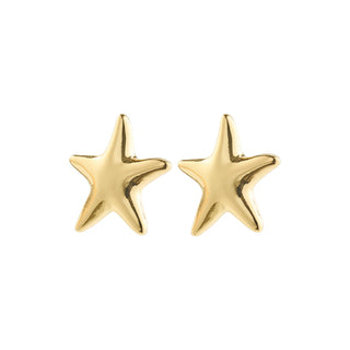 Boucles d'oreilles - Force