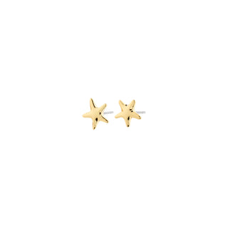 Boucles d'oreille - André