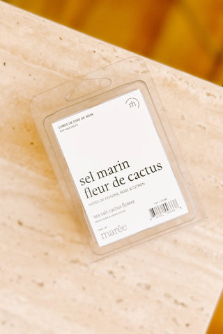 Cubes de cire de Soya pour diffuseur - Sel marin et fleur de cactus