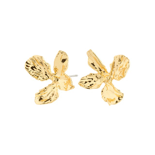Boucles d'oreille - Dream