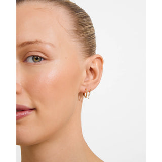 Boucles D'oreilles - Morin ensemble 2-en-1 (or)