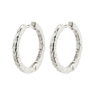 Boucles d'oreille - Elanor