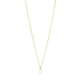 Ensemble cadeau - Evena or (902632011)