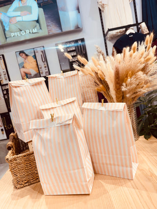 Sac Surprises- valeur de 100$ (pilgrim)