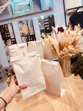 Sac Surprises- valeur de 100$ (pilgrim)
