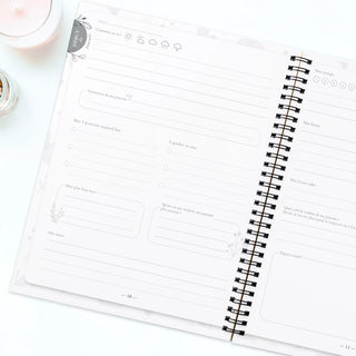 Journal Soies