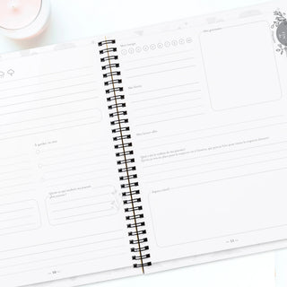 Journal Soies