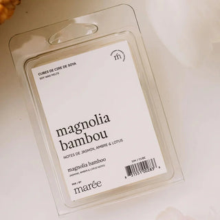 Cubes de cire de Soya pour diffuseur - Magnolia bambou